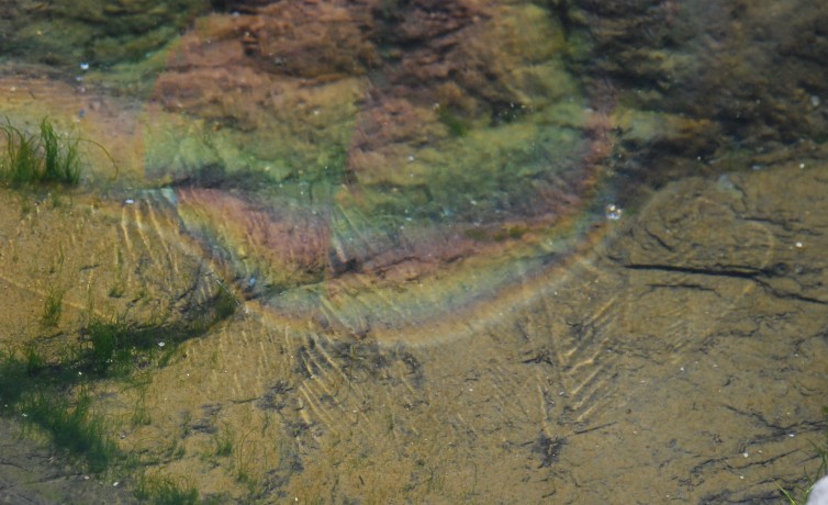 Rainbow Lips…film of ice diffracted the rainbow effect…Beavertail